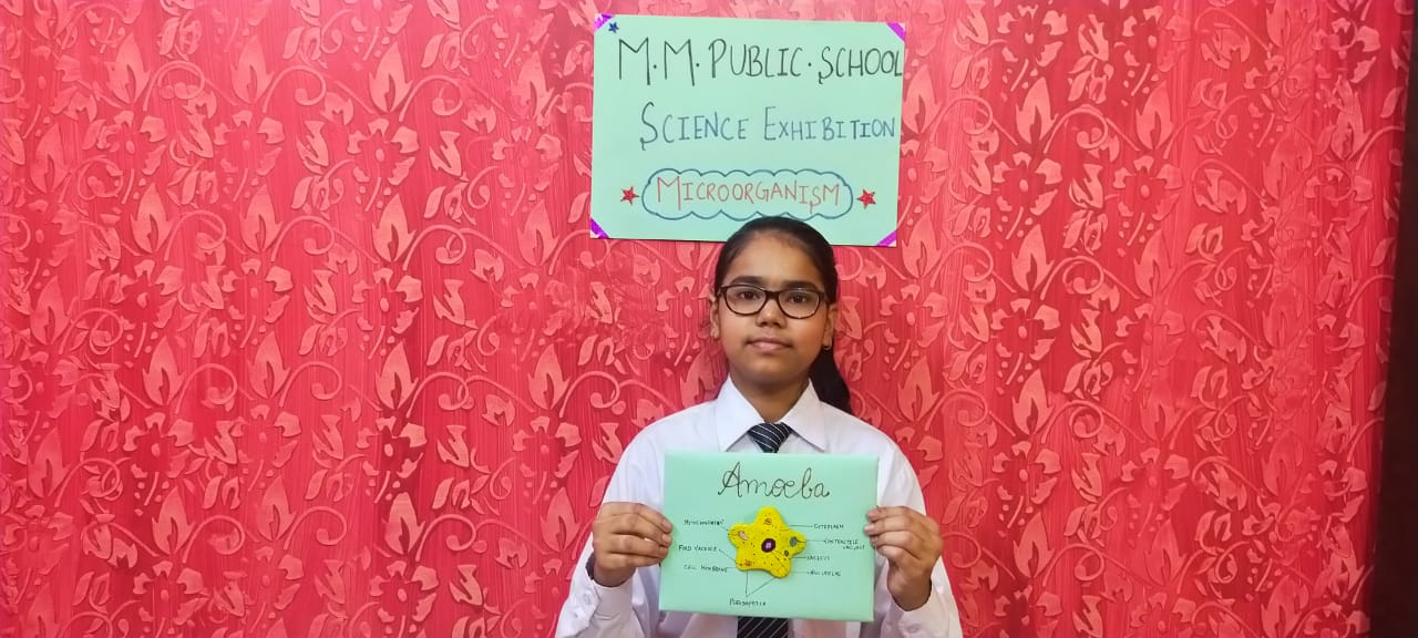 VIRTUAL SCIENCE EXHIBITION