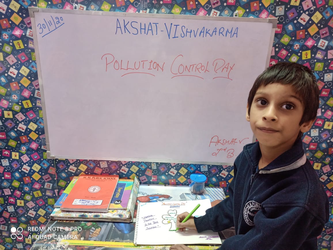 Pollution Day Observation