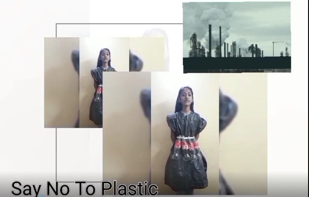 Pollution Day Observation