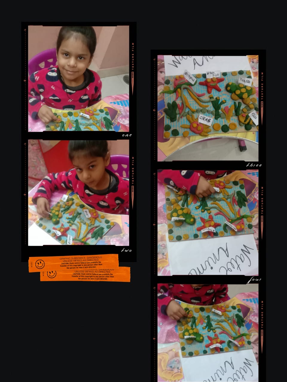 Learning about Animals activity