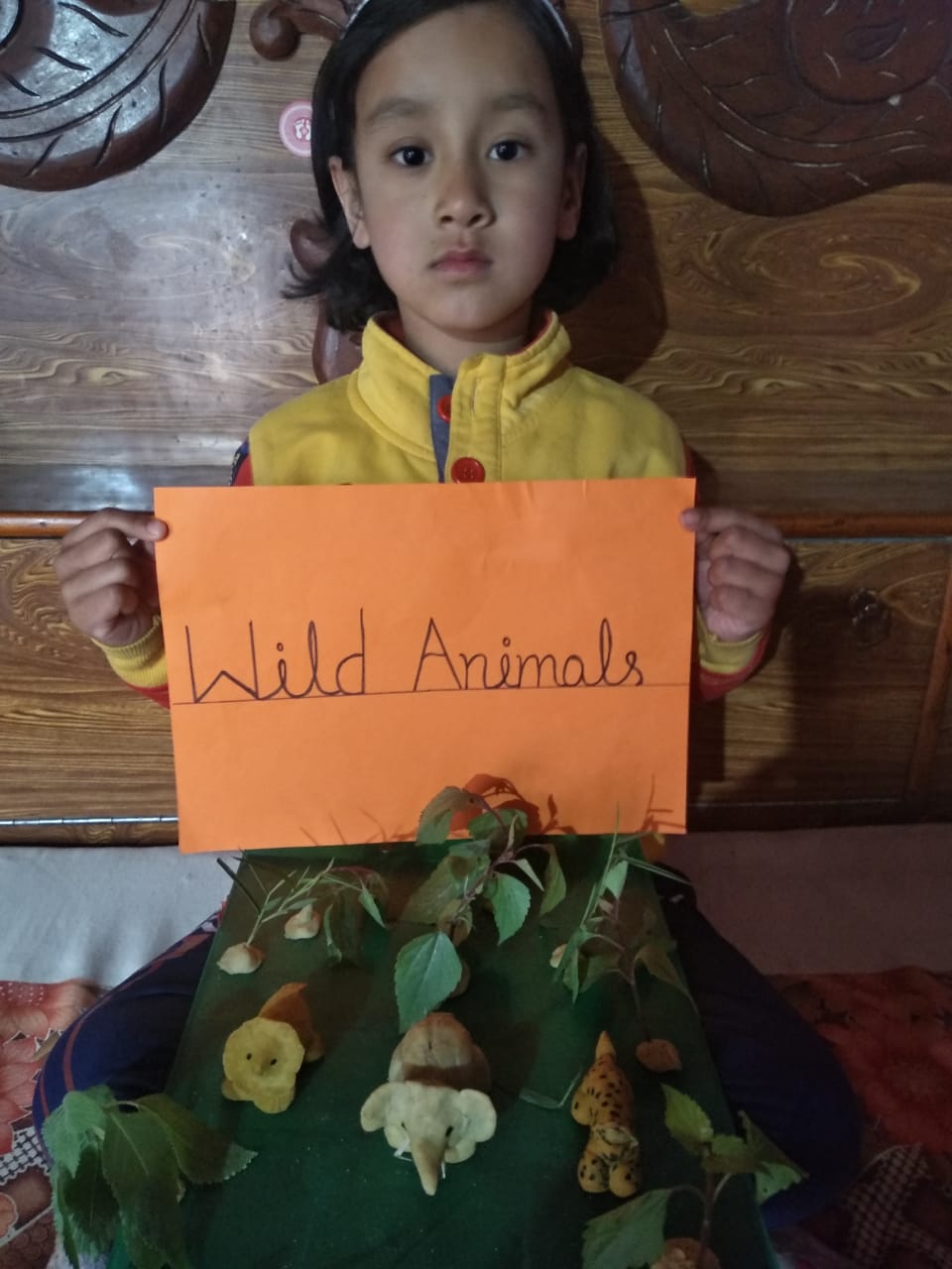 Learning about Animals activity