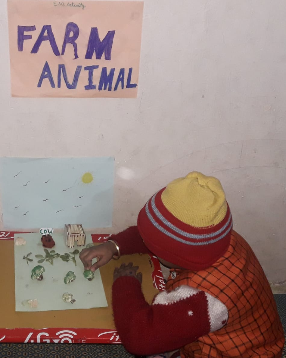 Learning about Animals activity