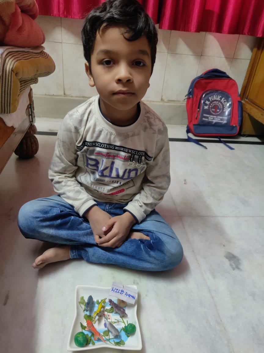 Learning about Animals activity