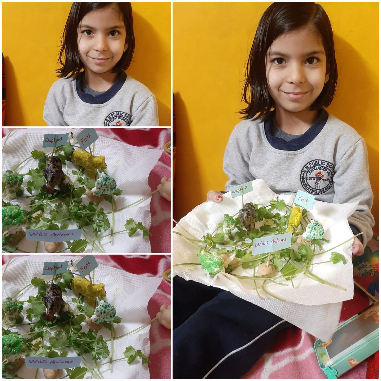 Learning about Animals activity