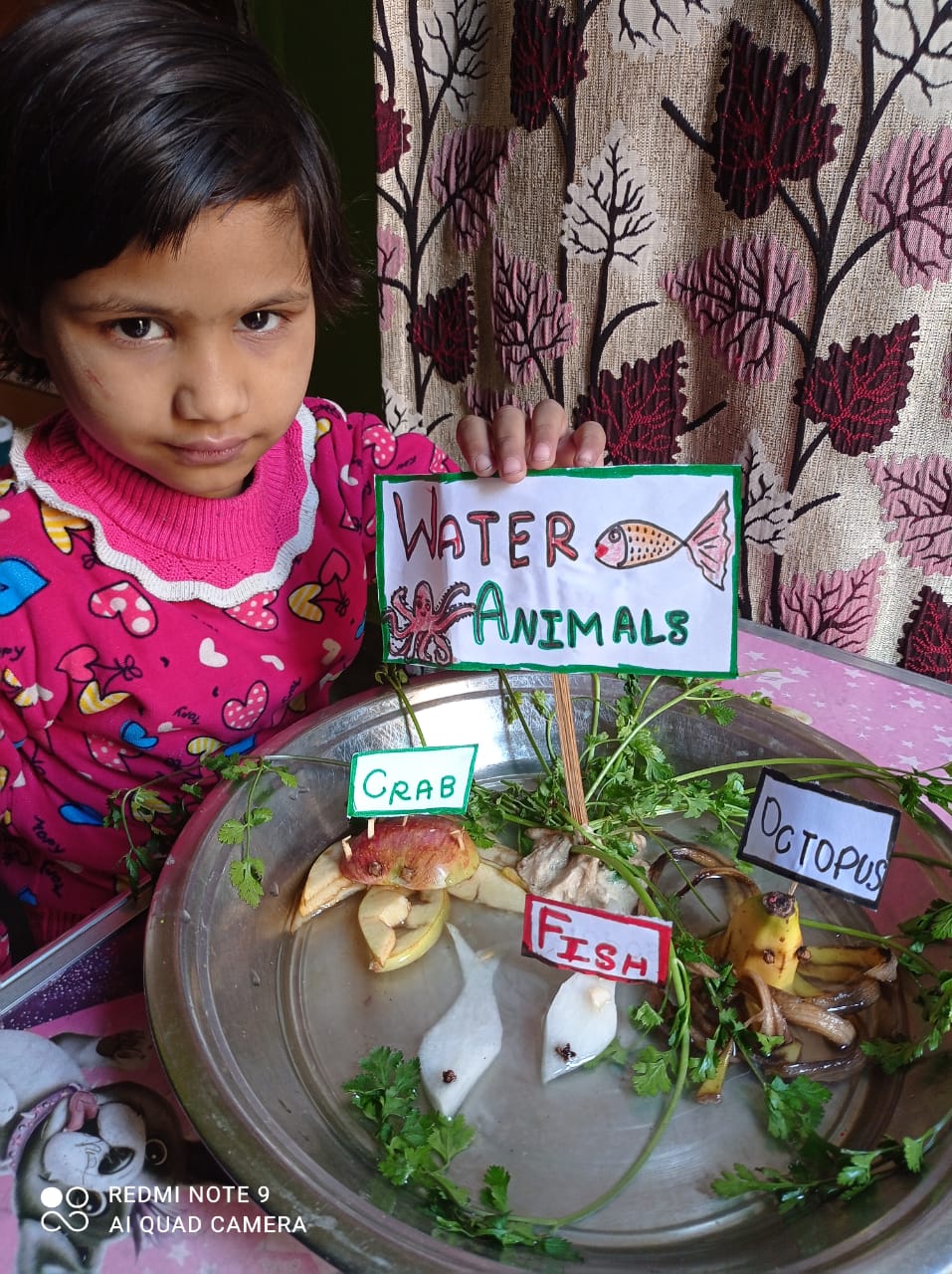 Learning about Animals activity