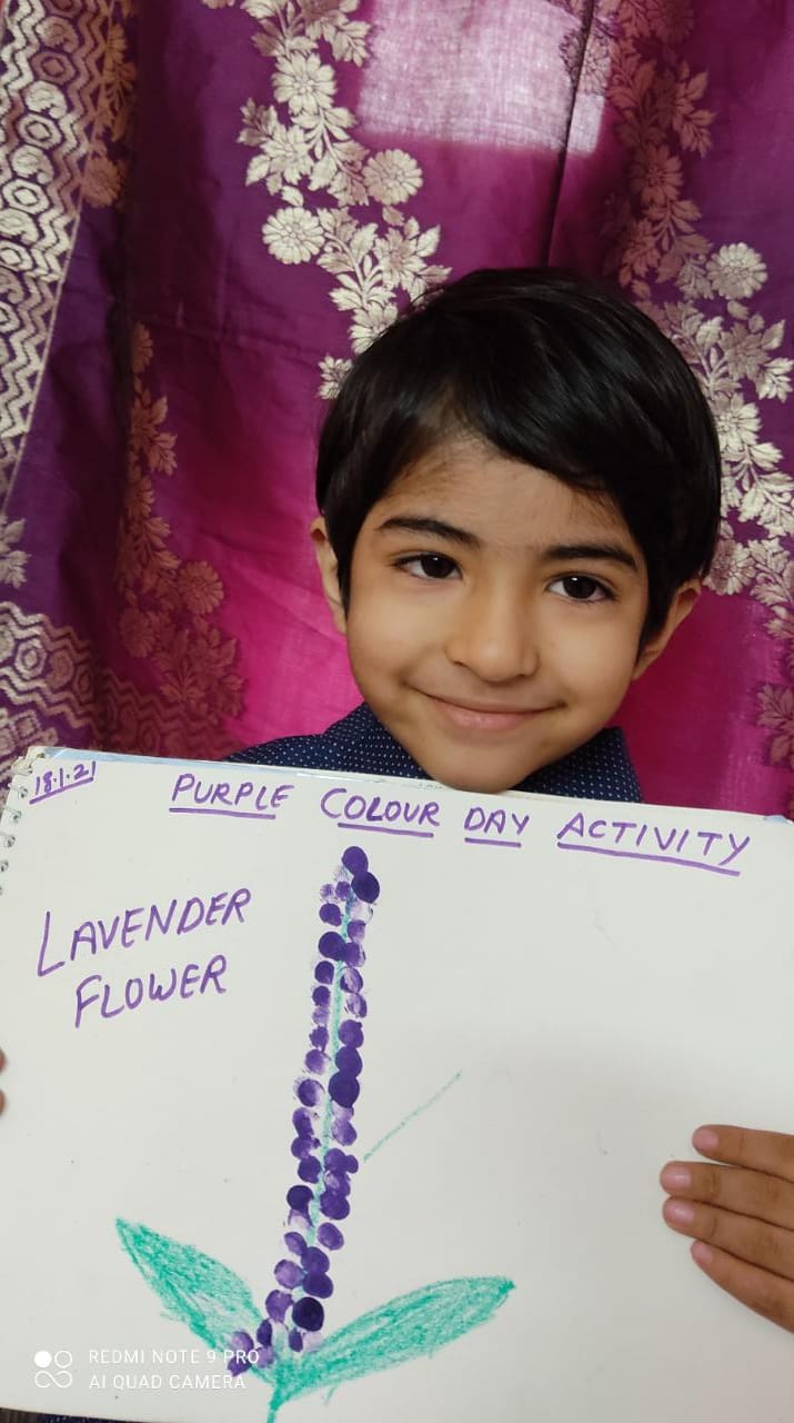 Purple colour day celebration