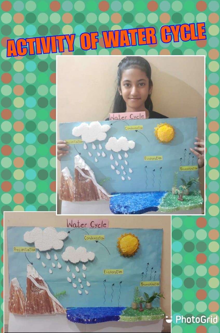 Water Cycle Activity