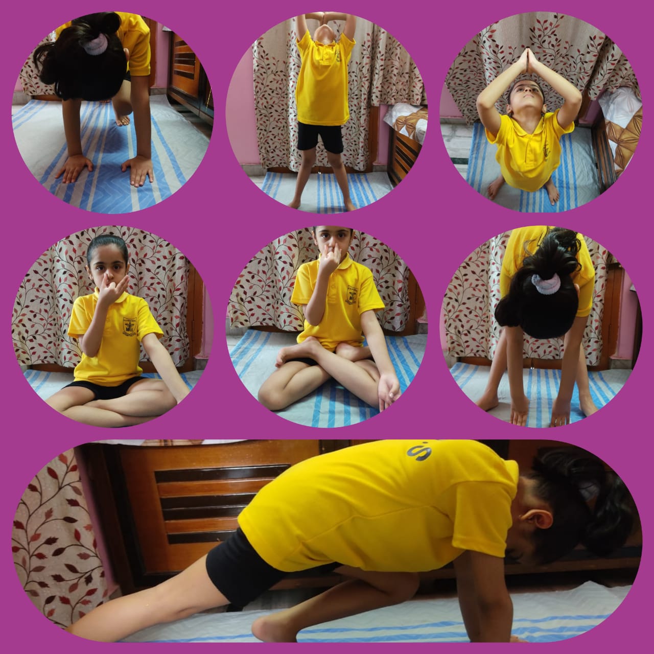 International Yoga Day Celebration