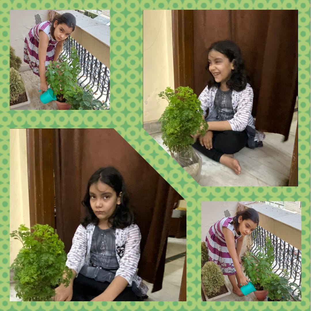 Tree plantation by MMPians