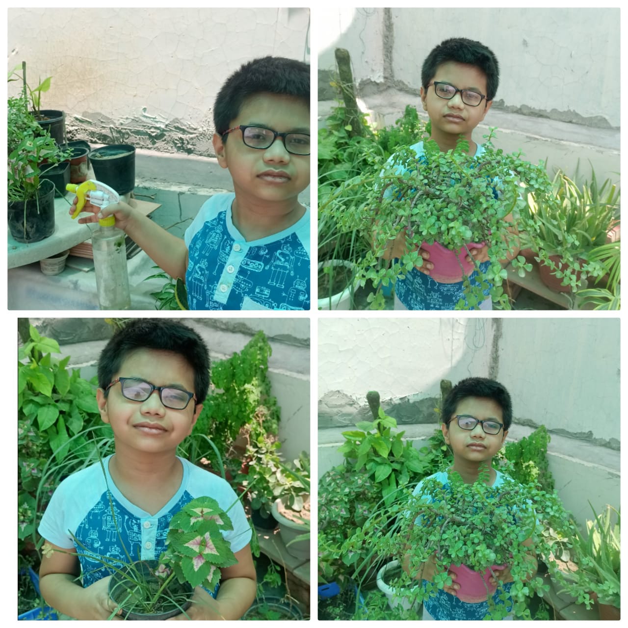 Tree plantation by MMPians