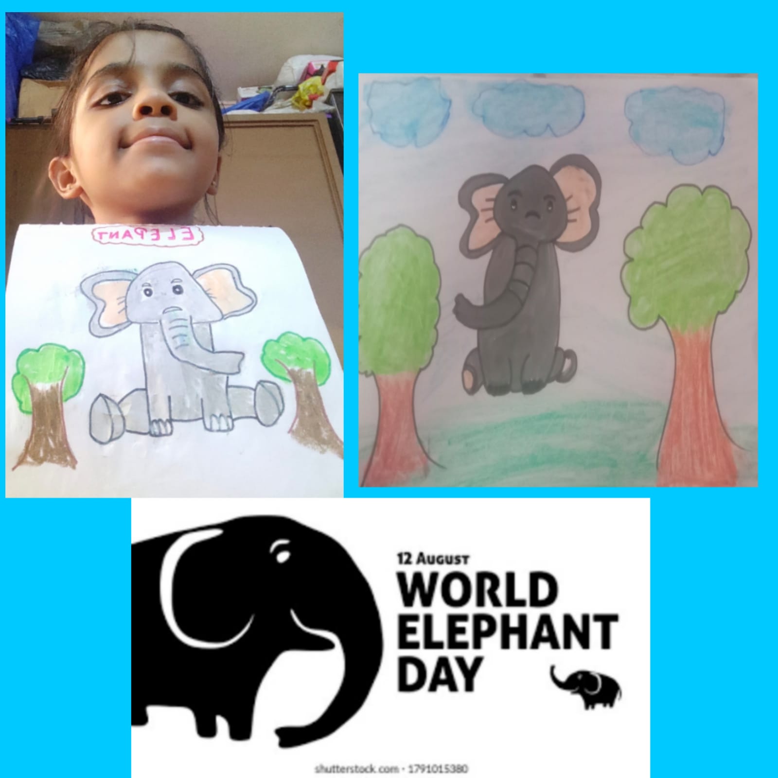 Poster Making Activity on World Elephant Day