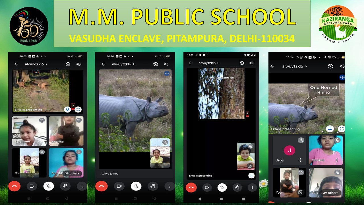 Rhino’s Day celebration
