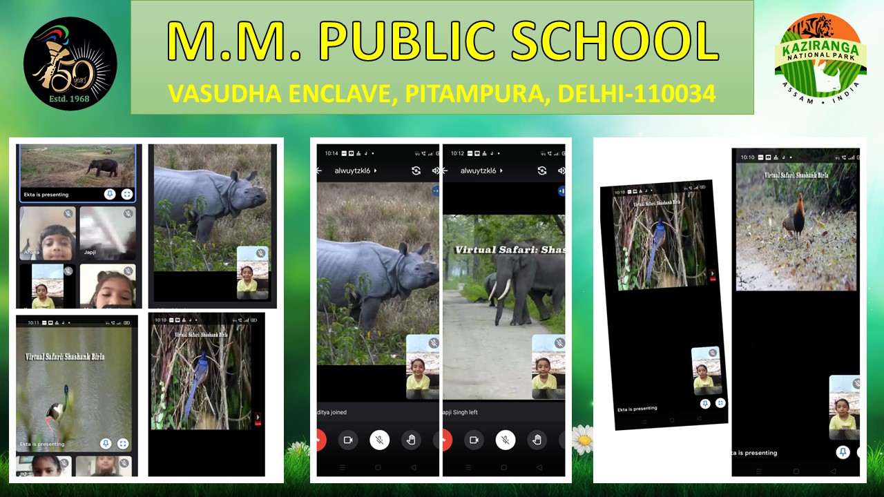 Rhino’s Day celebration