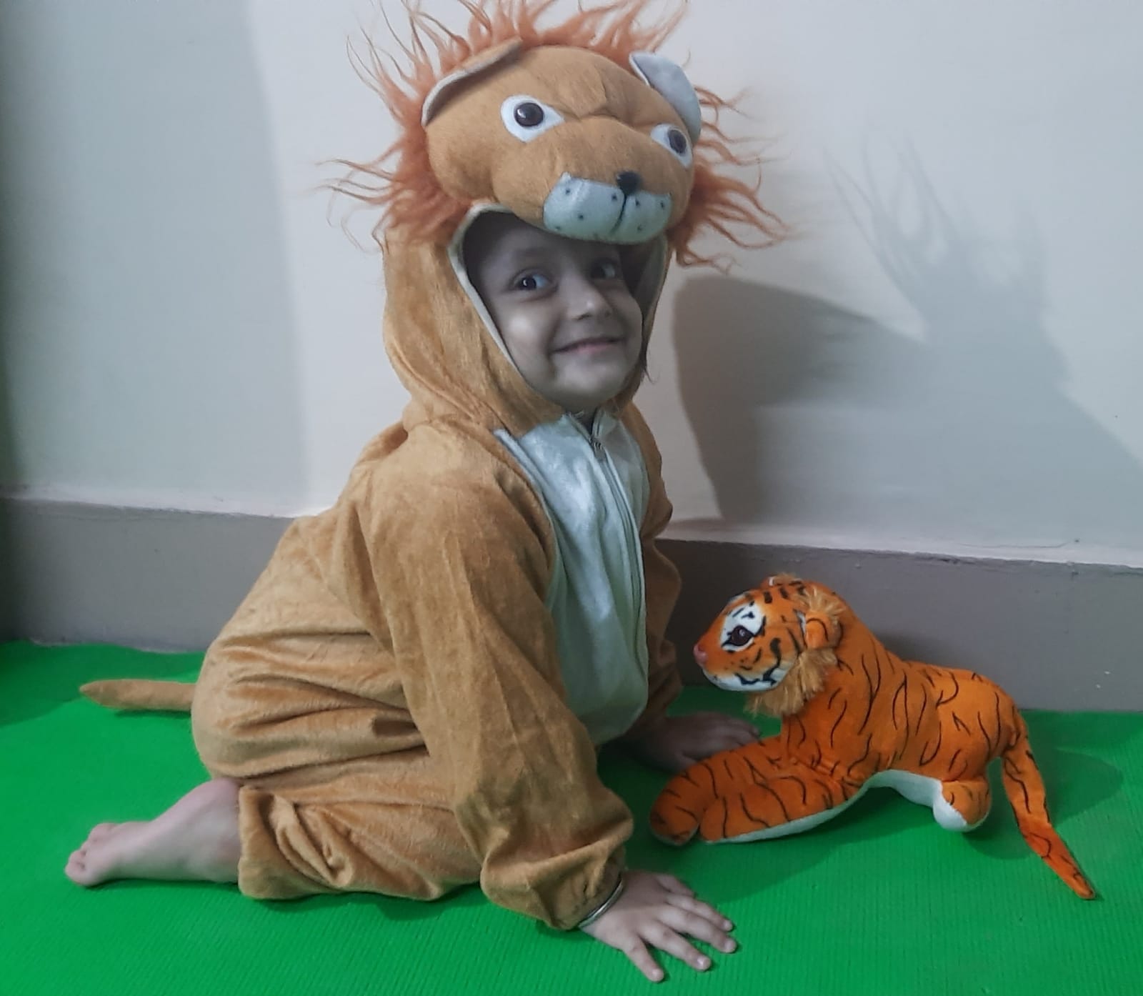 Activity on Pet and Wild Animals by Pre-Primary students