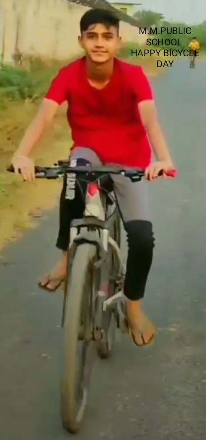 World Bicycle Day