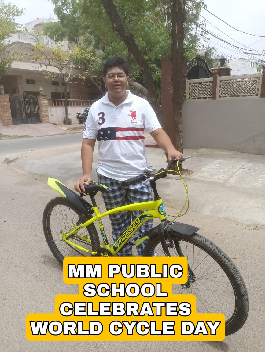 World Bicycle Day