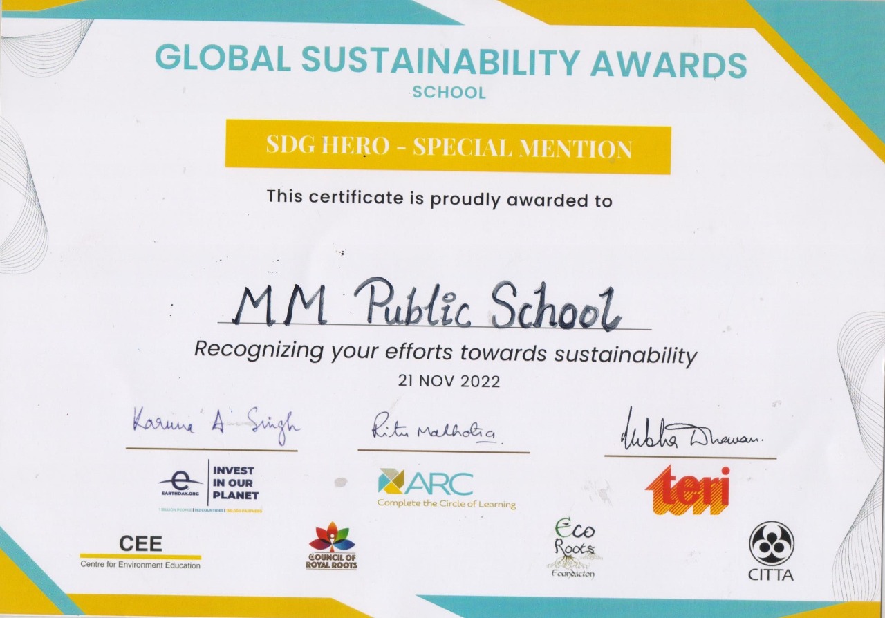 Recognition for Excellence in Global Sustainability.