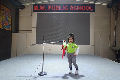 MY PERFORMANCE – BIRDS 