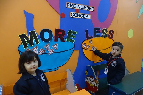 PRE NUMBER CONCEPT MORE AND LESS