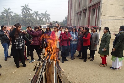 Lohri Celebration: Where Tradition Meets Togetherness
