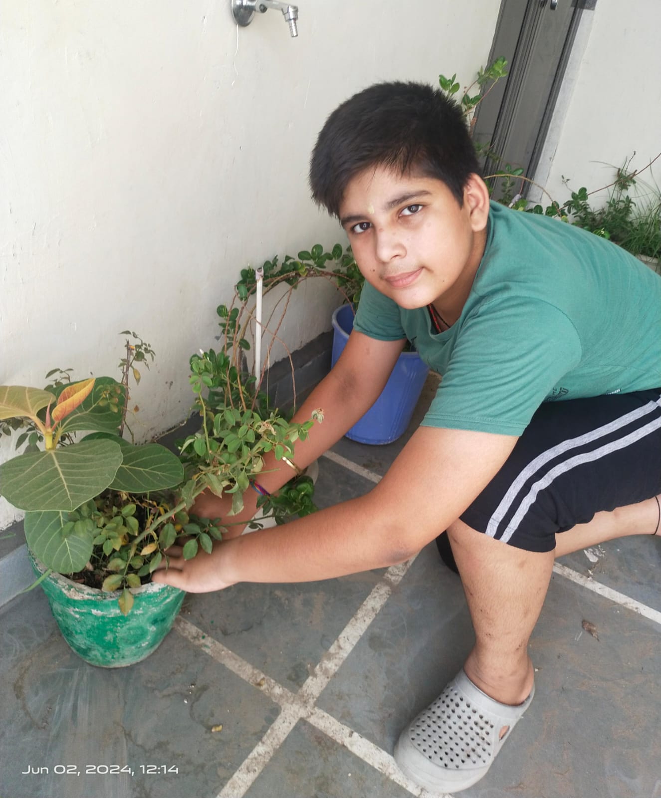Tree Plantation Drive on World Environment Day