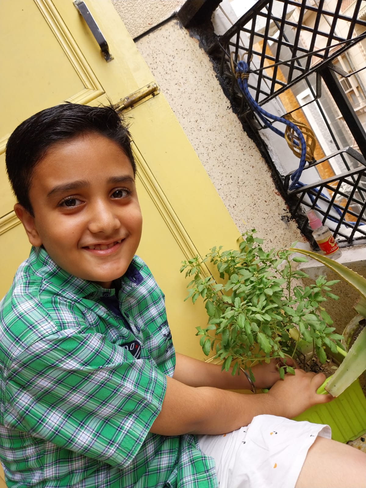 Tree Plantation Drive on World Environment Day