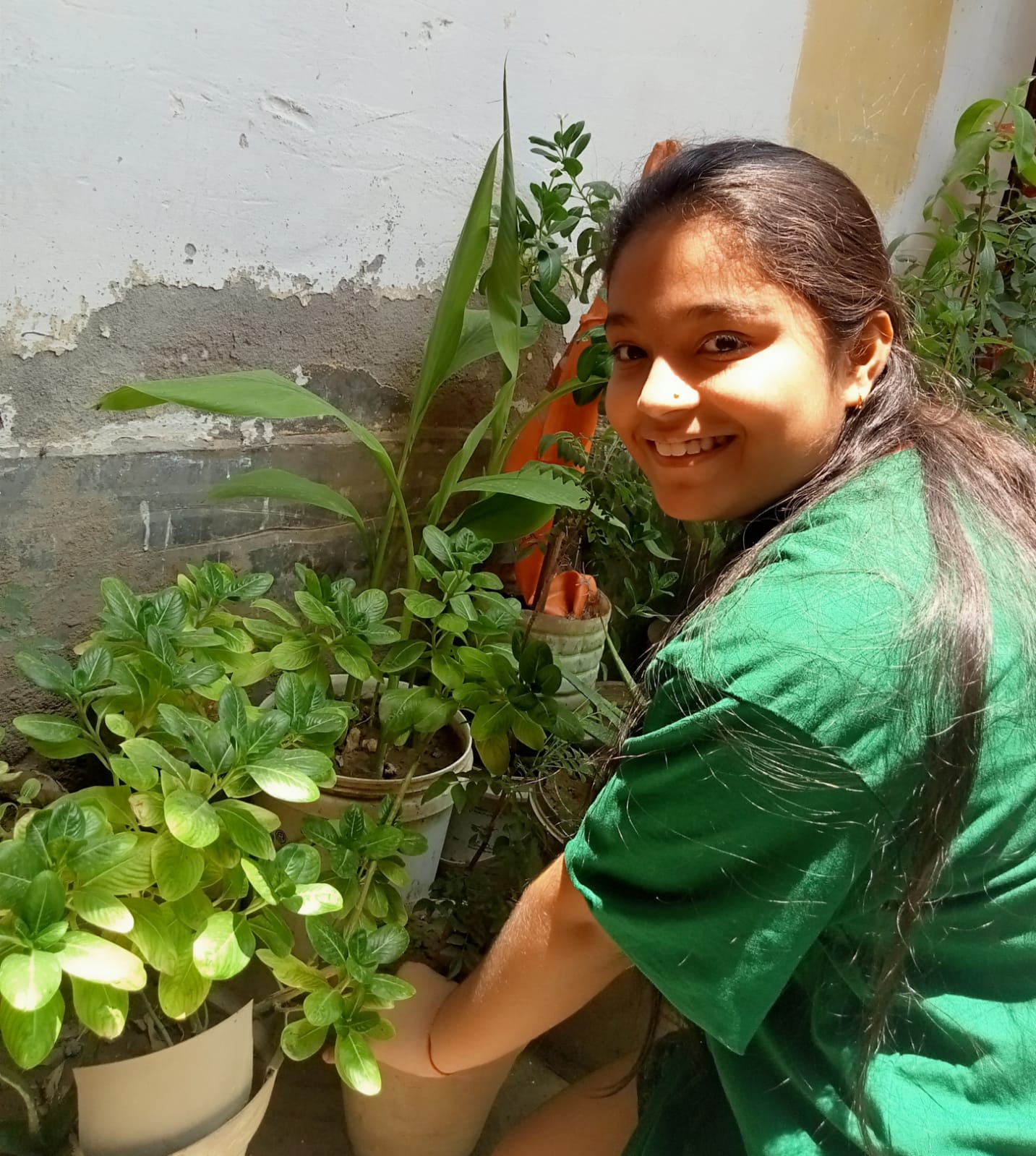 Tree Plantation Drive on World Environment Day