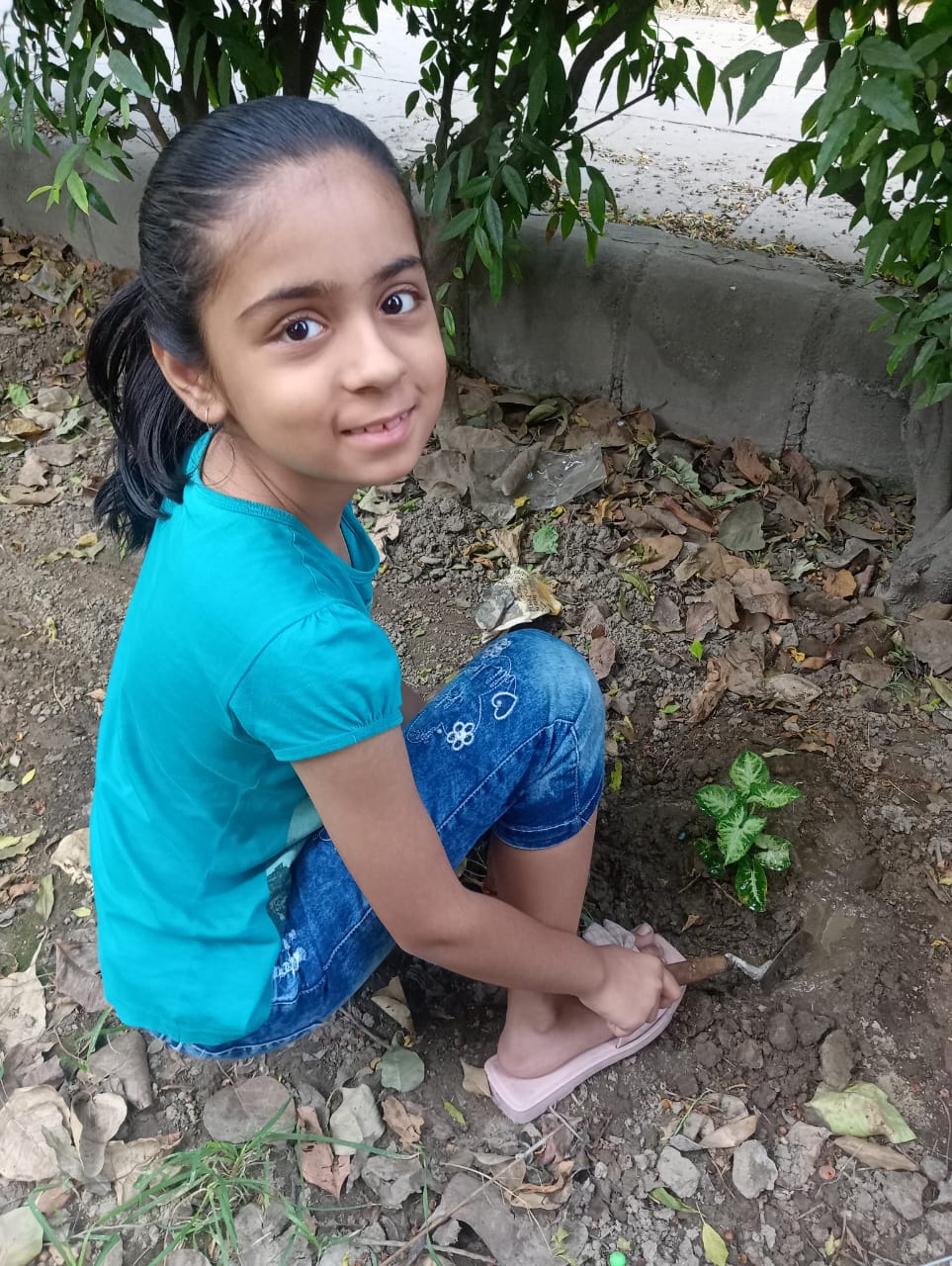 Tree Plantation Drive on World Environment Day