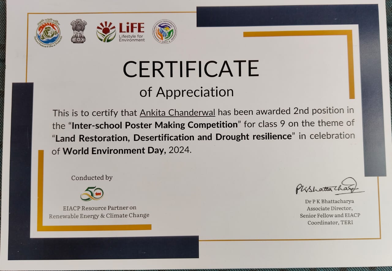MMPians shine at TERI EIACP Poster Making Competition