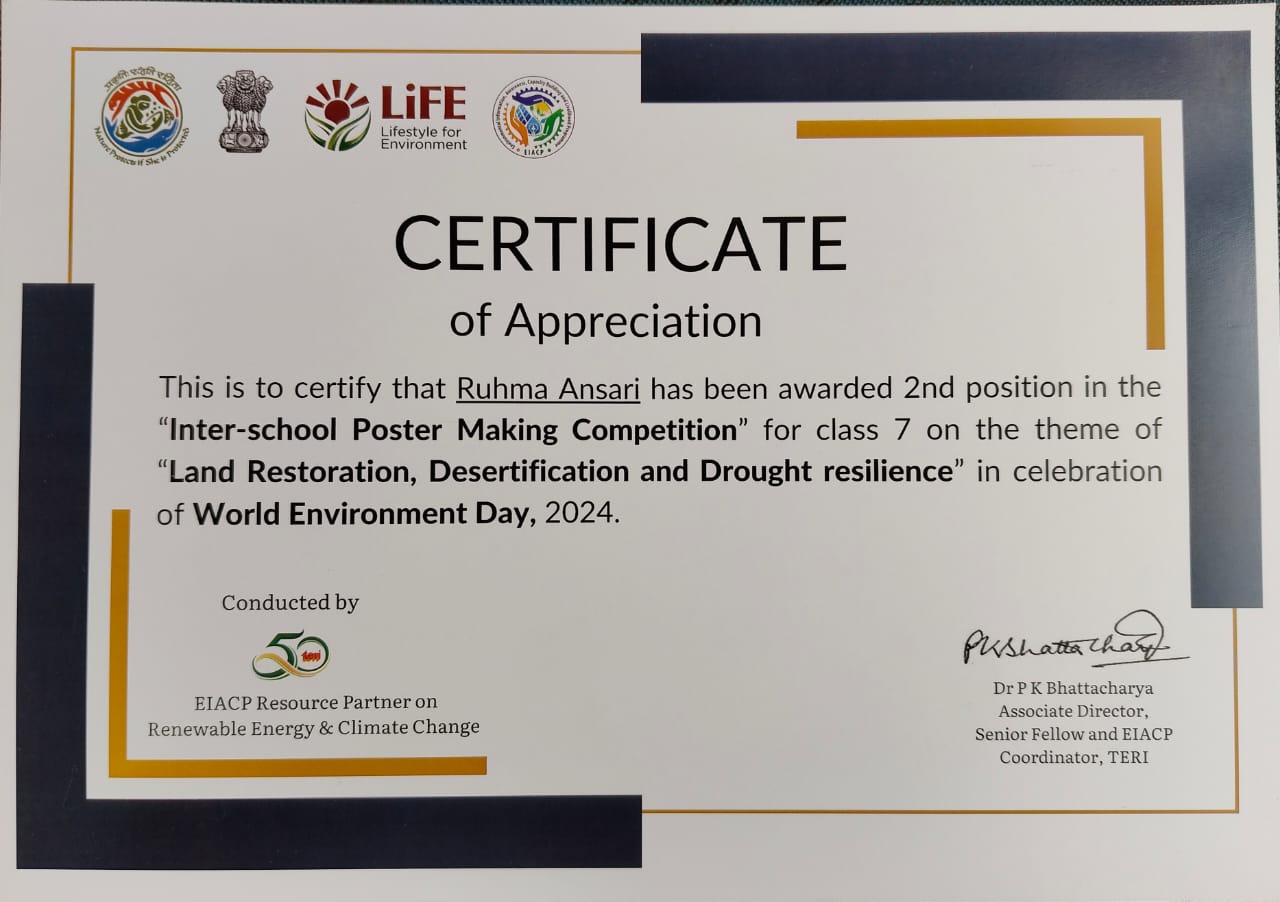 MMPians shine at TERI EIACP Poster Making Competition