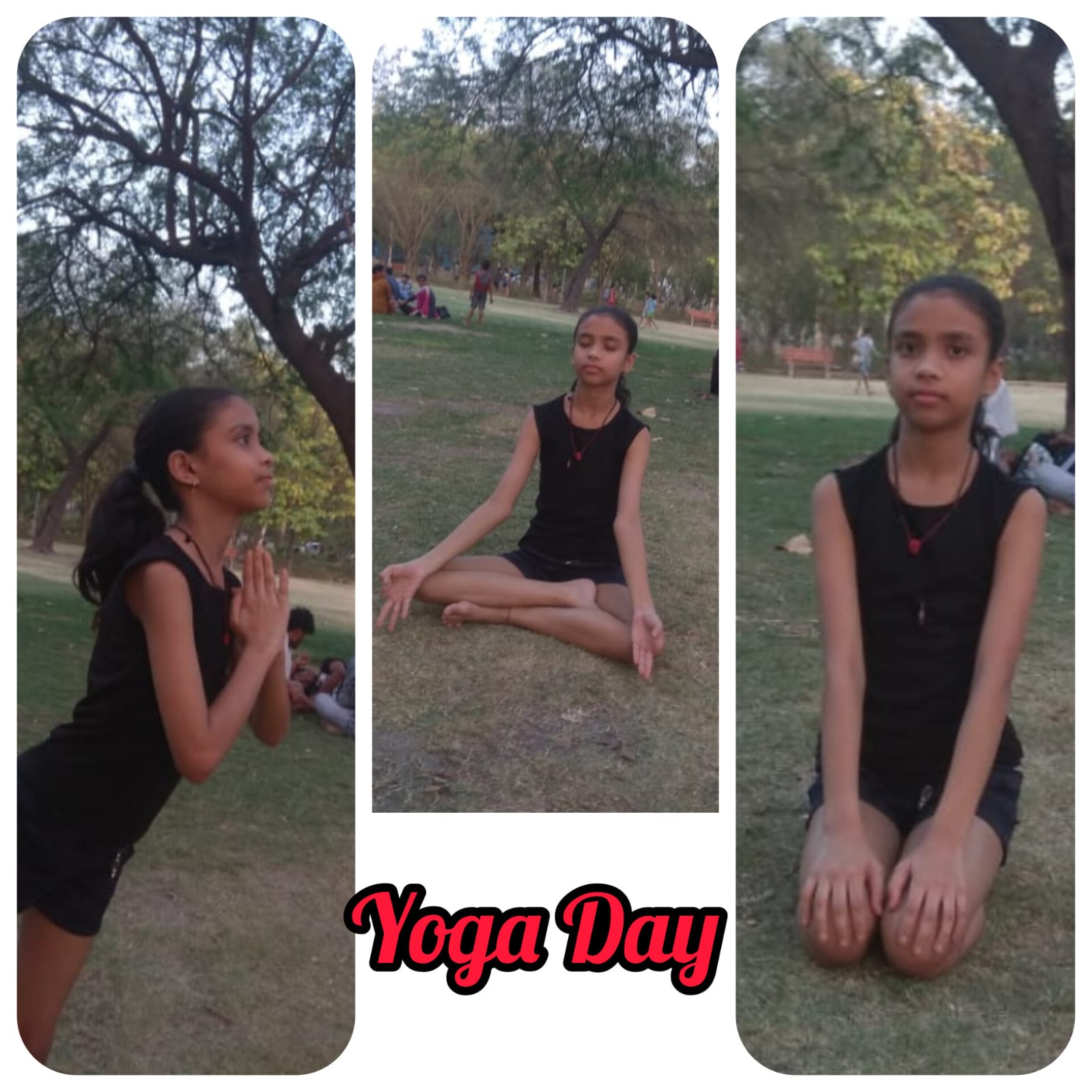 Unveiling Inner Strength: NCC Cadets Celebrate International Yoga Day