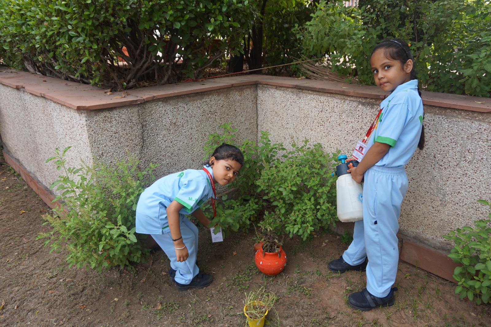 Plantation Day by Primary students