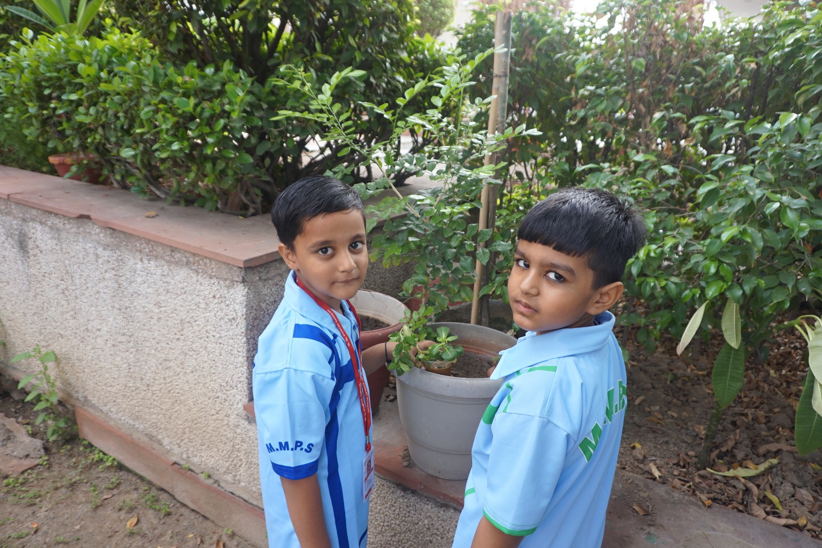 Plantation Day by Primary students