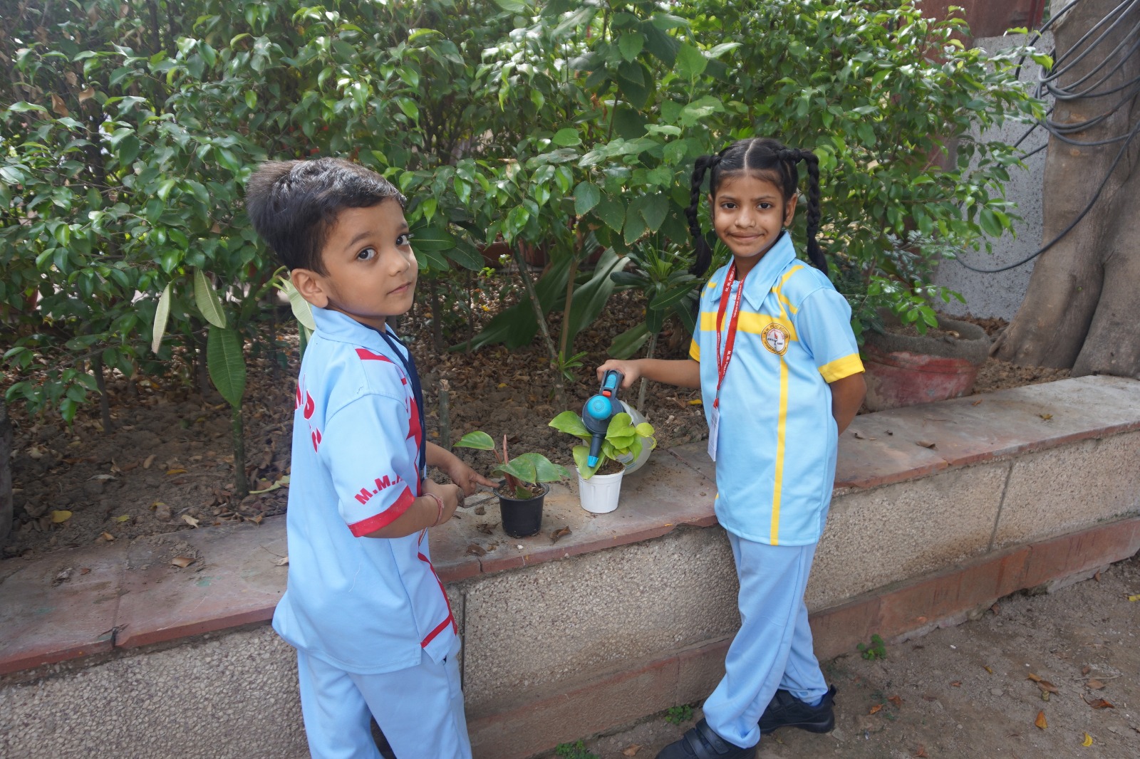 Plantation Day by Primary students