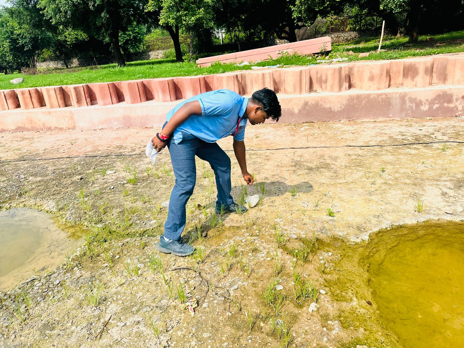 Cleanliness Drive at Sheesh Mahal by SAC club