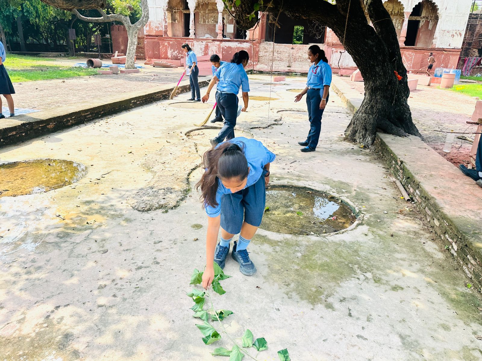 Cleanliness Drive at Sheesh Mahal by SAC club
