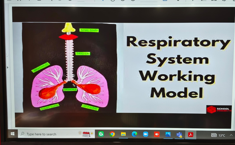 Hands-On Activity – Lungs Experiment