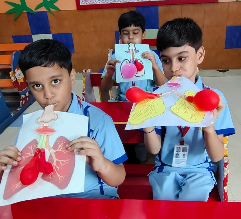 Hands-On Activity – Lungs Experiment