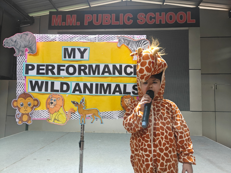 My Performance: Wild Animals