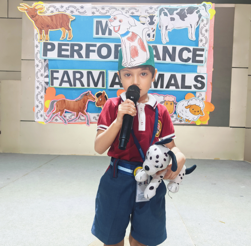 My Performance: Farm Animals