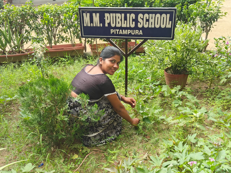 🌿 M.M. Public School Leads Plantation Drive in Rohini 🌿
