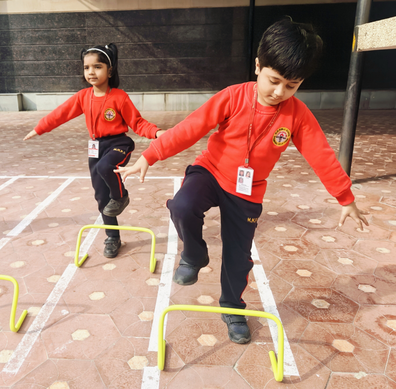 Sports Activity: Hurdle Race