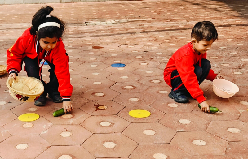 Sports Activity: Collect Vegetables Race
