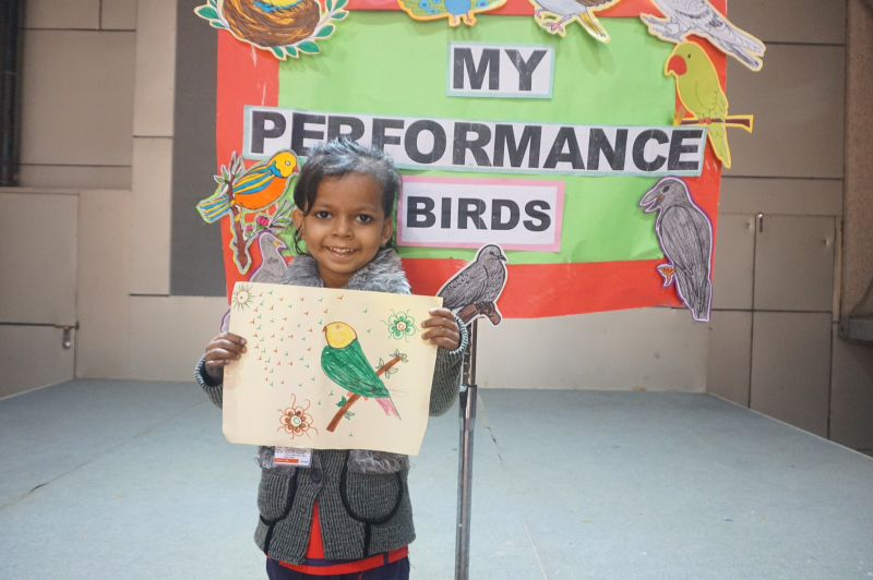 My Performance: Exploring Birds