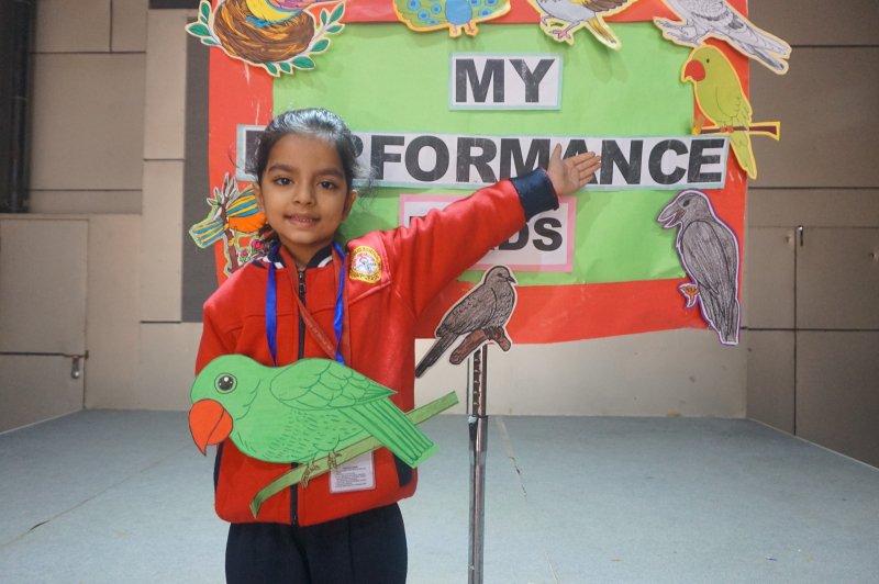 My Performance: Exploring Birds