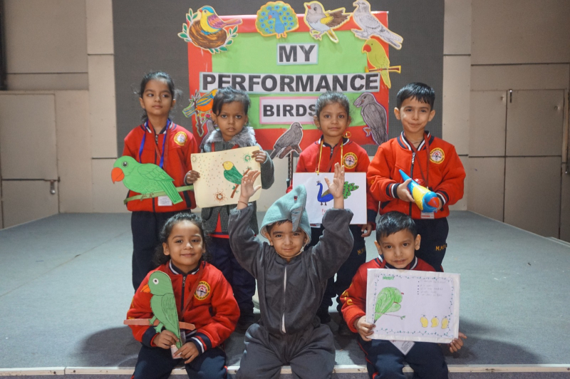 My Performance: Exploring Birds
