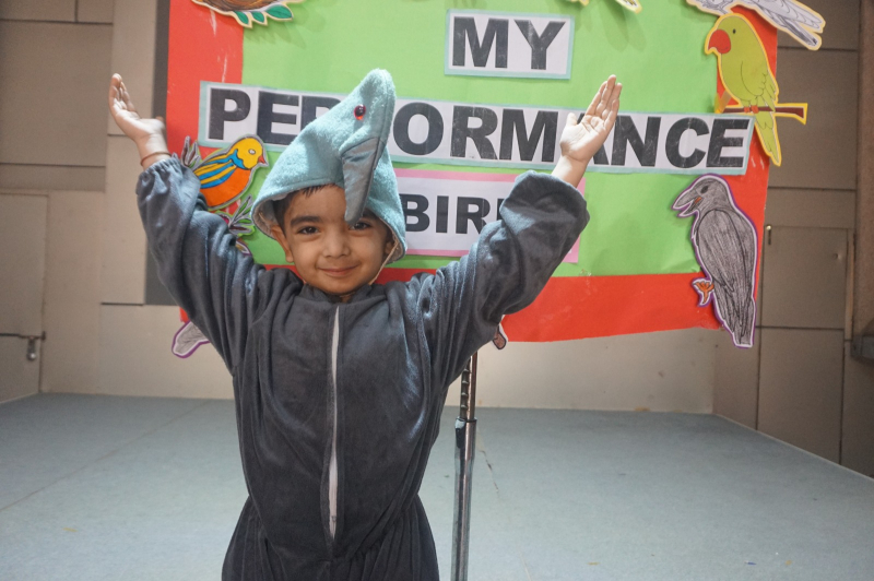 My Performance: Exploring Birds