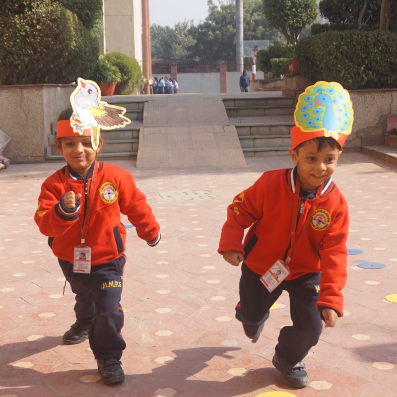 Sports Activity: Birds Race