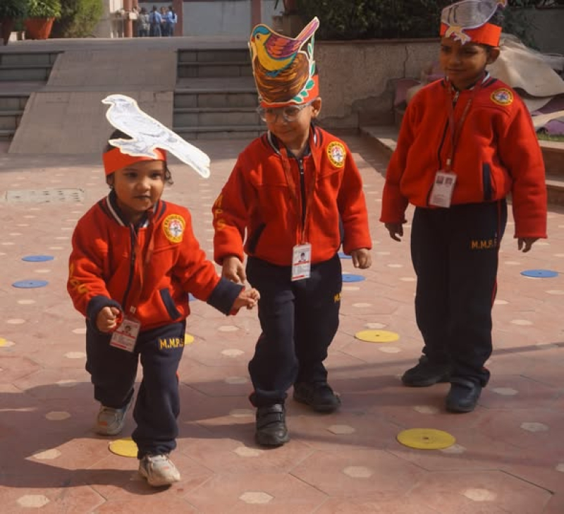 Sports Activity: Birds Race