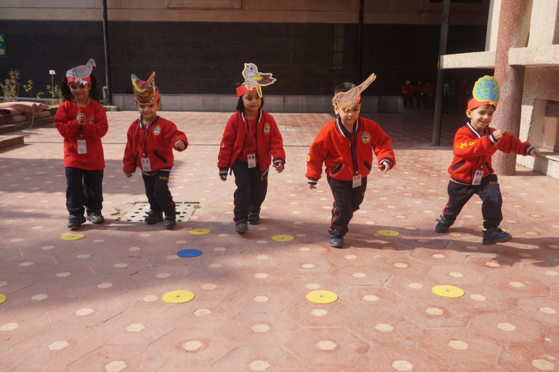 Sports Activity: Birds Race